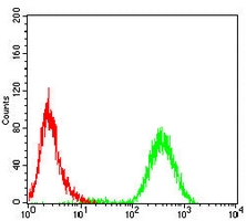 4 - Anti-E Cadherin Antibody AP95756