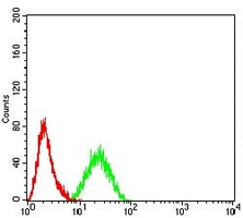 4 - Anti-OB Cadherin Antibody AP95757