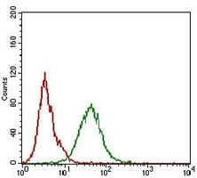 4 - Anti-KSP Cadherin Antibody AP95758
