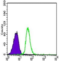4 - Anti-CD144 Antibody AP95759
