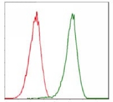 4 - Anti-CDK2 Antibody AP95760
