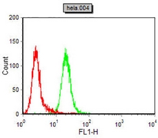 4 - Anti-CDK4 Antibody AP95761