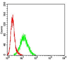 4 - Anti-p57 Kip2 Antibody AP95762