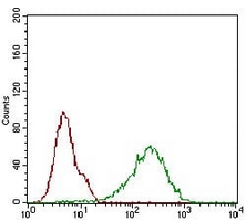 4 - Anti-p16 INK4a Antibody AP95763