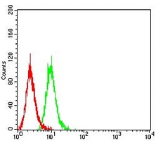 4 - Anti-CD66a Antibody AP95764