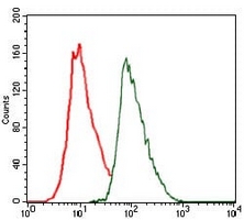 4 - Anti-C/EBP alpha Antibody AP95768