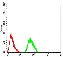 4 - Anti-FHR-5 Antibody AP95769