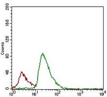 4 - Anti-c-FLIP Antibody AP95770