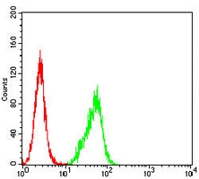 4 - Anti-Chromogranin A Antibody AP95772