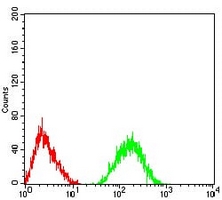 4 - Anti-CHRNA5 Antibody AP95773