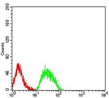 4 - Anti-CHRNE Antibody AP95776