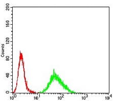 4 - Anti-CIDEC Antibody AP95777
