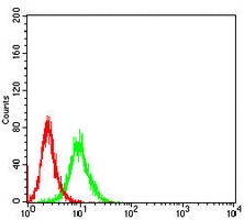 4 - Anti-Collagen 2 alpha 1 Antibody AP95782
