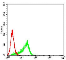 4 - Anti-CPT2 Antibody AP95783