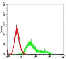 4 - Anti-CK2 beta Antibody AP95786