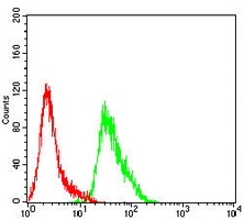 4 - Anti-Beta-catenin Antibody AP95787