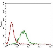4 - Anti-CTNNBL1 Antibody AP95788