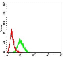 4 - Anti-CD183 Antibody AP95789