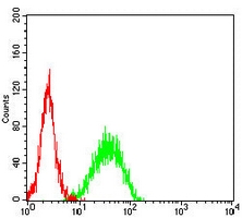 4 - Anti-CD186 Antibody AP95790