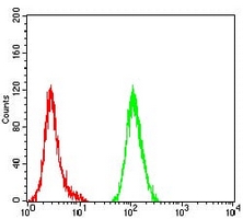 4 - Anti-Cytochrome c Antibody AP95791