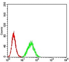 4 - Anti-DDX1 Antibody AP95795