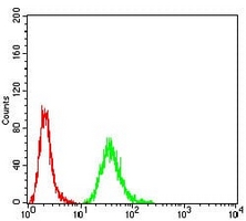 4 - Anti-Gemin3 Antibody AP95796
