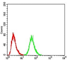 4 - Anti-DDX3X Antibody AP95797