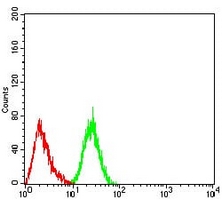 4 - Anti-DDX5 Antibody AP95798