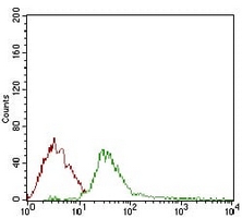 4 - Anti-DIS3L2 Antibody AP95799