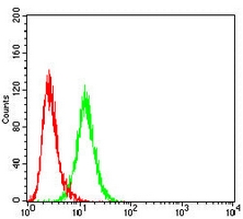 4 - Anti-PSD95 Antibody AP95800