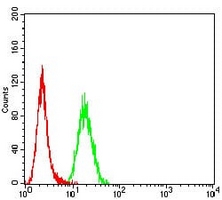 4 - Anti-Dynamin 2 Antibody AP95802