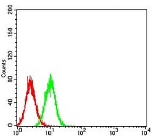 4 - Anti-TdT Antibody AP95803
