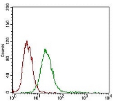 4 - Anti-Desmoglein 3 Antibody AP95804