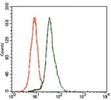4 - Anti-E2F1 Antibody AP95805