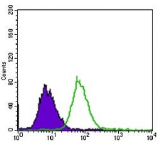 4 - Anti-EGFR Antibody AP95806