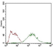 4 - Anti-eIF2 alpha Antibody AP95807