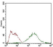 4 - Anti-eIF2 alpha Antibody AP95808