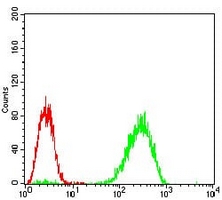 4 - Anti-PKR Antibody AP95809