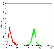 4 - Anti-EIF2B3 Antibody AP95810