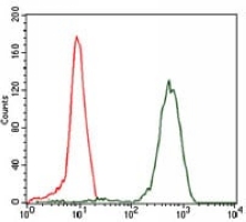 4 - Anti-EIF4B Antibody AP95811