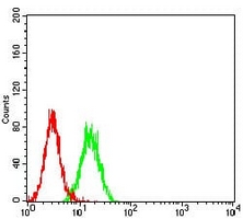 4 - Anti-Neutrophil Elastase Antibody AP95812