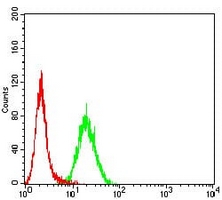 4 - Anti-Neutrophil Elastase Antibody AP95813