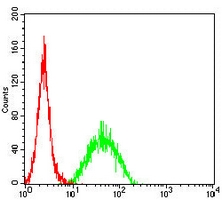 4 - Anti-CD105 Antibody AP95814