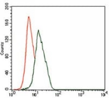 4 - Anti-Gamma-enolase Antibody AP95815