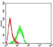 4 - Anti-ERCC1 Antibody AP95818