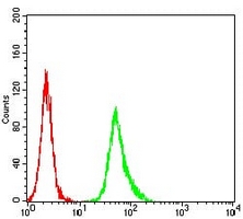 4 - Anti-Estrogen Receptor alpha Antibody AP95819