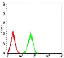 4 - Anti-ERR alpha Antibody AP95820