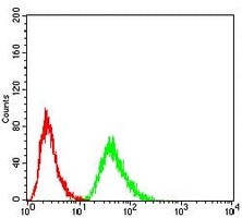4 - Anti-eTF1 Antibody AP95821