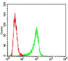 4 - Anti-ETFA Antibody AP95822