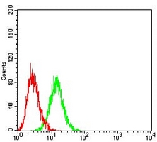 4 - Anti-CD361 Antibody AP95823